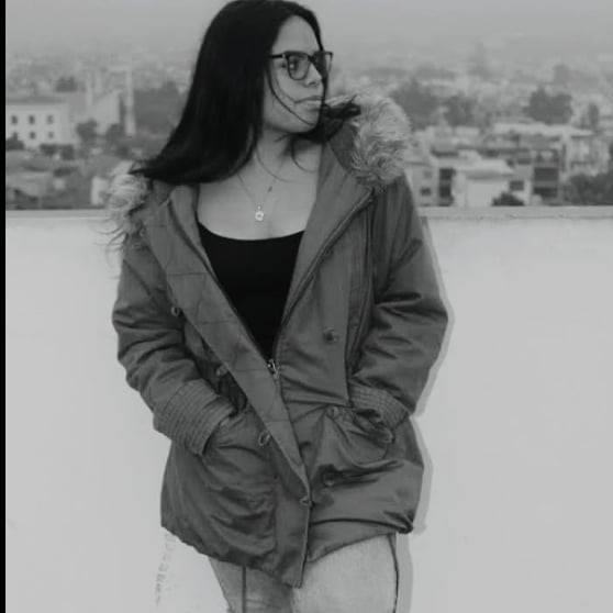 Clases privadas de inglés (aprende desde casa conmigo)