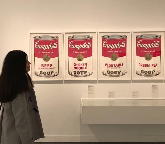 Clases online de refuerzo escolar