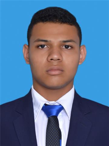 Profesor de ingles para refuerzo o aprendizaje personalizado