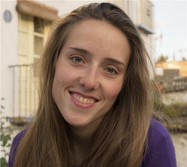 Matemáticas, dibujo técnico, tecnología, dibujo y artes plásticas