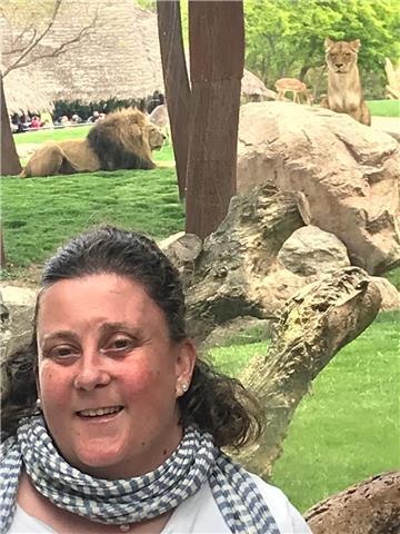 Ej:refuerzo primaria ,todas las materias