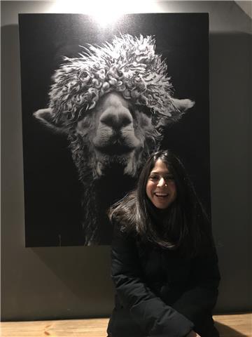 Imparto clases particulares y online. precio económico