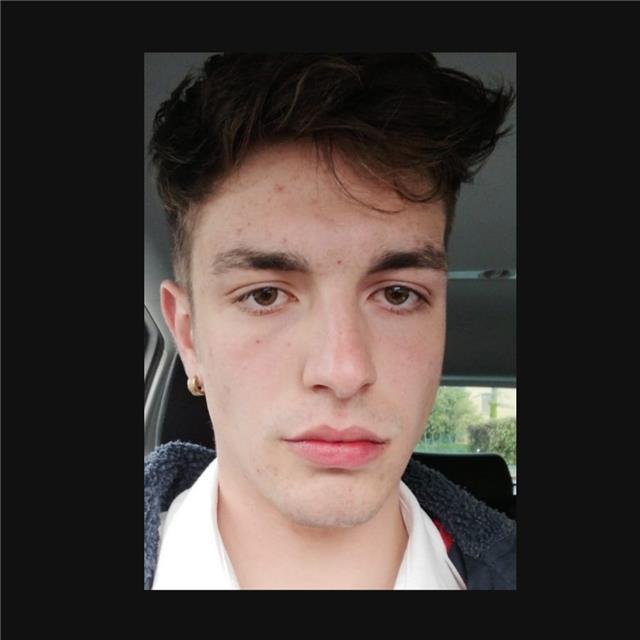 Studente universitario offre ripetizioni di matematica nei dintorni di azzano/stezzano/zanica