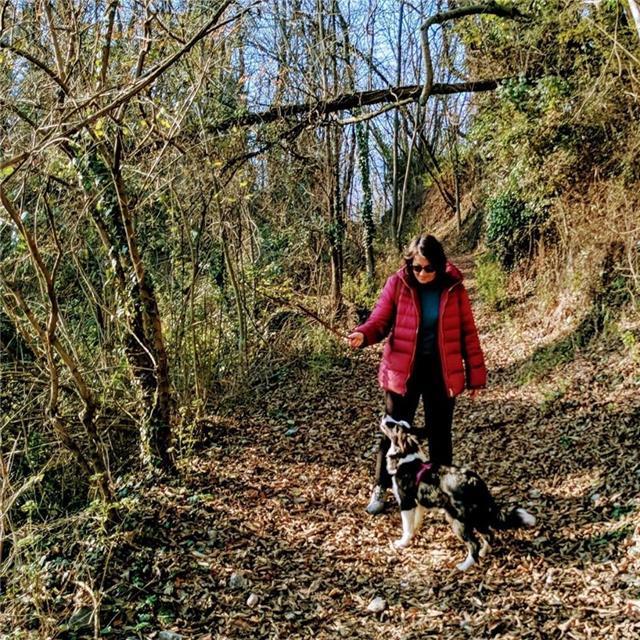 Laureata con esperienza in traduzione e insegnamento