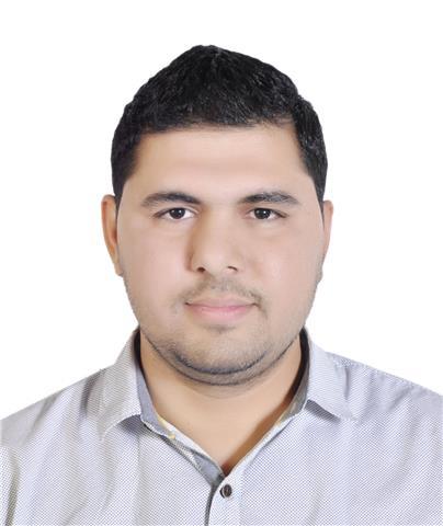 Metallurgy and Materials Engineer