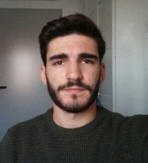 Economista y Estadístico (bilingüe) da clases de Economía, Estadística, Matemáticas y refuerzo