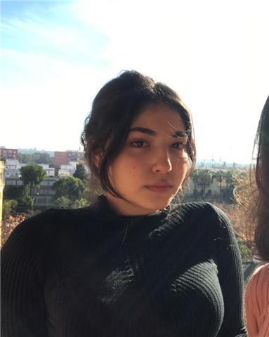 Doy clases particulares de idiomas ( inglés y francés)