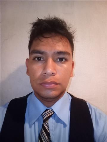 Ingeniero en sistemas con experiencia en consultoria de TI