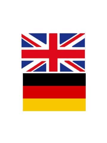 Offro ripetizioni di inglese e tedesco per elementari medie e superiori