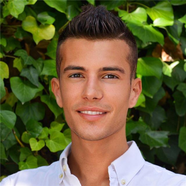 Docente esperto di storia dell'arte, disegno geometrico, pittura