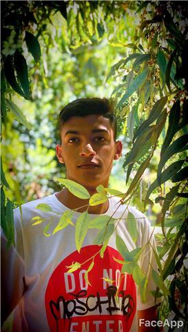 Studente offre ripetizioni per alunni di scuola elementare / media. Orari flessibili a domicilio