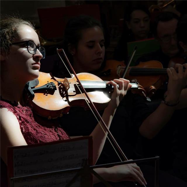 Professeur de violon pour débutant de tout âge