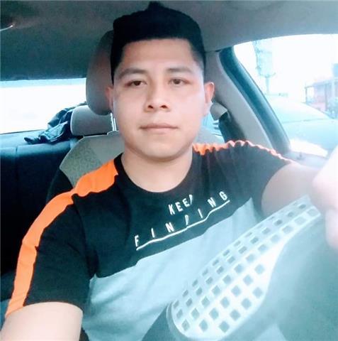 Clases particulares en línea, desde temas básicos, intermedios y avanzados