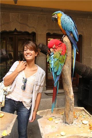 Maestra ofrece clases primaria