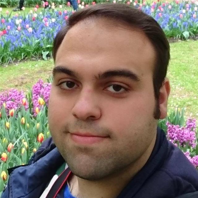 Profesor de secundaria y bachiller (lengua española, historia y geografía, inglés, matemáticas aplicadas a ciencias sociales, etc)