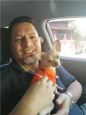 Doy clases particulares de inglés a domicilio y en lugares concertados