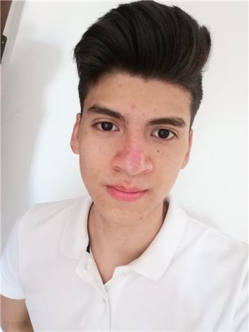Ragazzo dicianovenne madrelingua di spagnola offre lezioni per ragazzi della elementare e medie