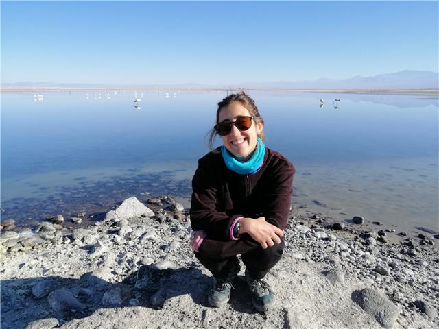 Clases particulares primaria y e.s.o (presencial/online). apoyo y revisión de trabajos