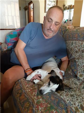 Doy clases particulares y online de asígnaturas de letras, salvo latín y griego