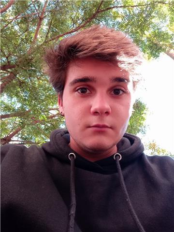 Estudiante de historia que domina todo el temario de ESO y bachillerato