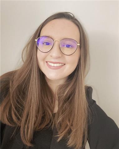 Professeur de langues anglais / espagnol