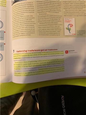 Laureato con lode in farmacia in possesso dei 24 cfu fornativi