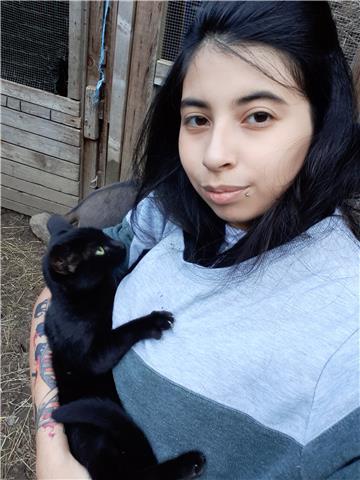 Offro ripetizioni di matematica per elementari, medie, superiori