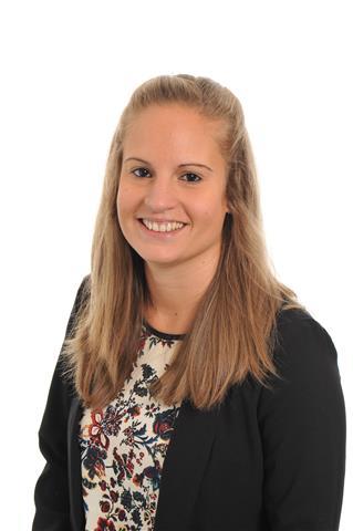 Spanish experienced teacher/spanish native/ ssl