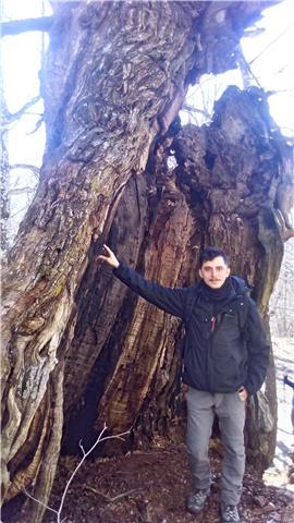 Laureato in biologia offre ripetizioni