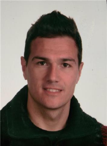 Lengua castellana, matemáticas, ciencias naturales, ciencias sociales, valores