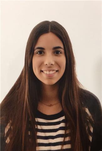 Inglés, lengua, matematicas, historia, geografia, naturales, economia