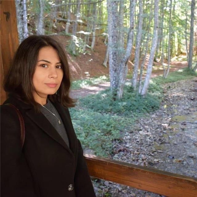 Studentessa di ingegneria informatica offre la sua conoscenza in matematica