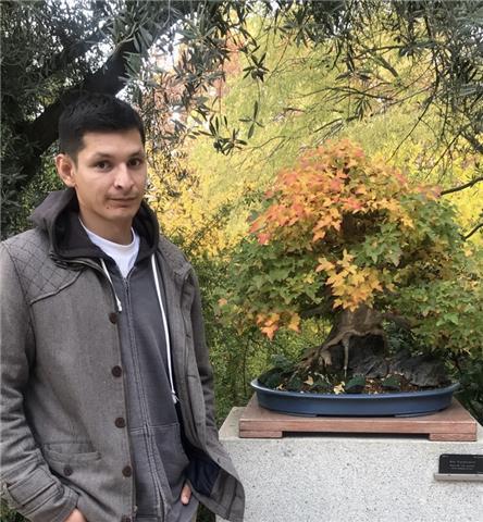 Profesor de ingles, clases particulares