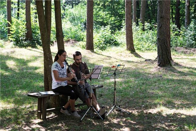 Insegnante con 10 anni di esperienza, offre lezioni private di sax e clarinetto