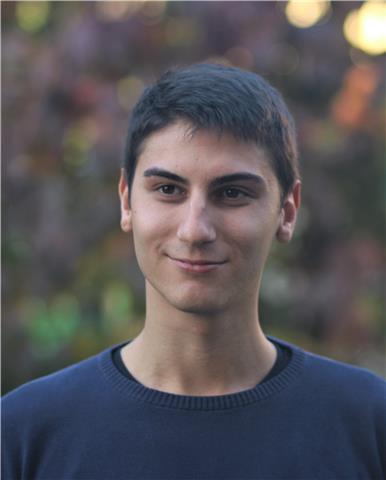 Laureando in Ingegneria Elettronica offre ripetizioni di matematica a studenti in difficoltà