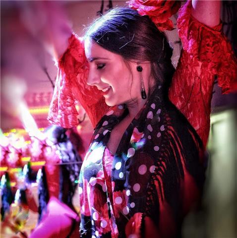 Clases de danza del vientre (arabe/ oriental) online !