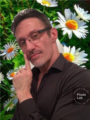 Professeur d’anglais propose cours anglais adultes sur Cergy Pontoise et ses alentours