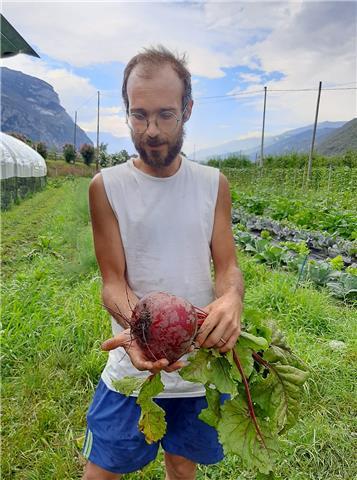 gestione di sistemi biologici e produzione ortaggi ad alta densità nutritiva