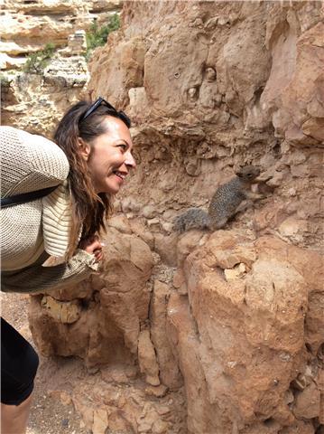 Insegnante elementare