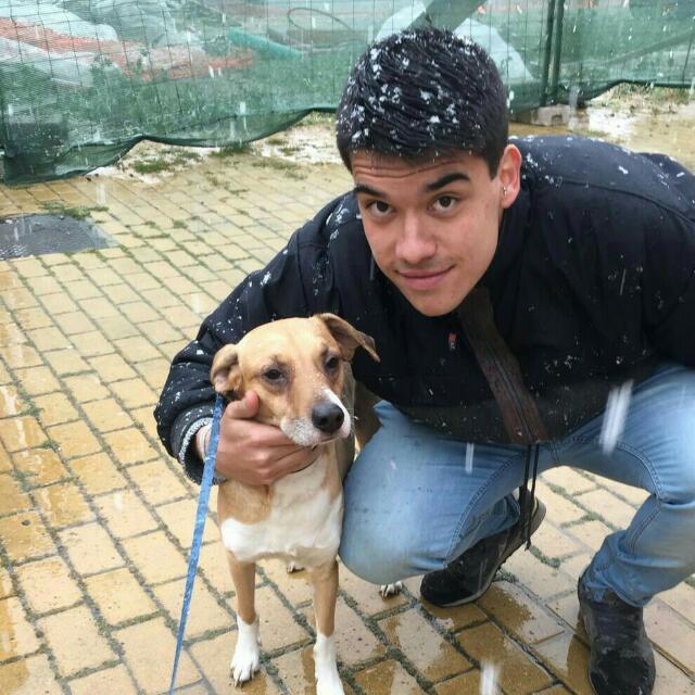 Estoy interesado en darles clases. experiencia de 3 años