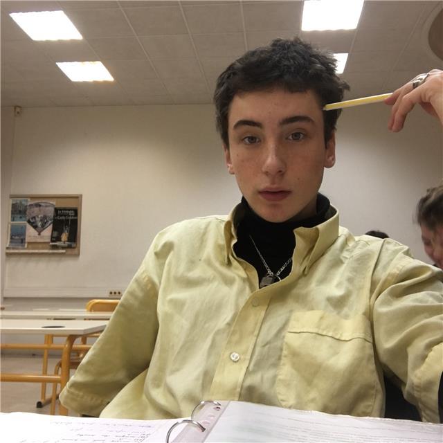 Professeur natif Langue anglaise et français (de la primaire au lycée)