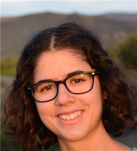 Estudiante Ingeniería Aeroespacial. Clases online ESO y Bachillerato (español o inglés). Posibilidad de asignaturas de universidad (Ingeniería)