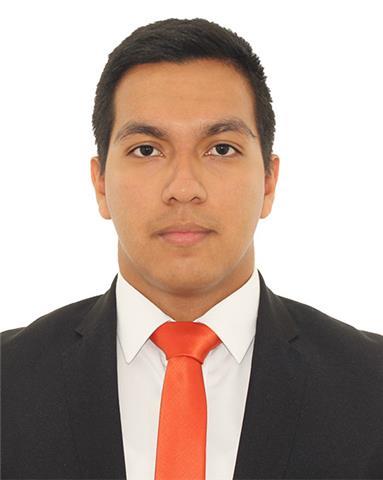 Profesor de Inglés y Música bajo un enfoque personalizado