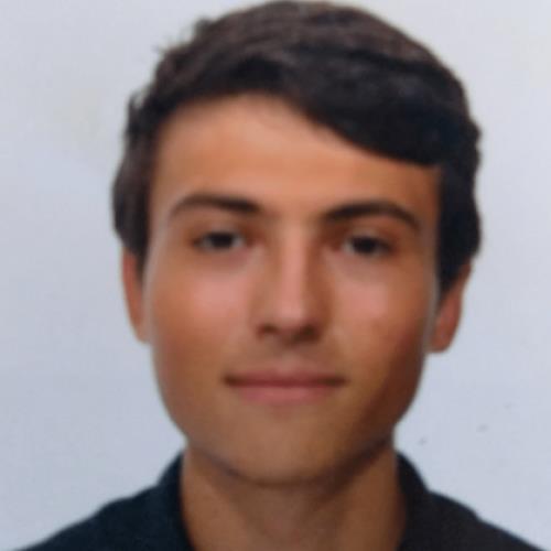 studente universitario di fisica per ripetizioni in materie scientifiche per tutti i livelli