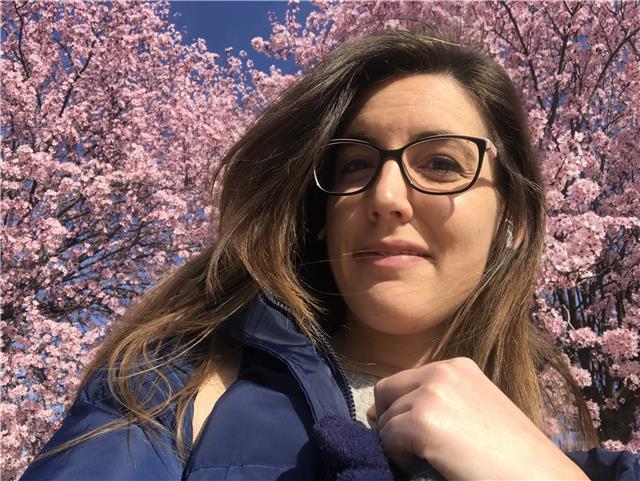 Clases de chino online (curso estándar, preparación de exámenes oficiales hsk y clases de conversación)