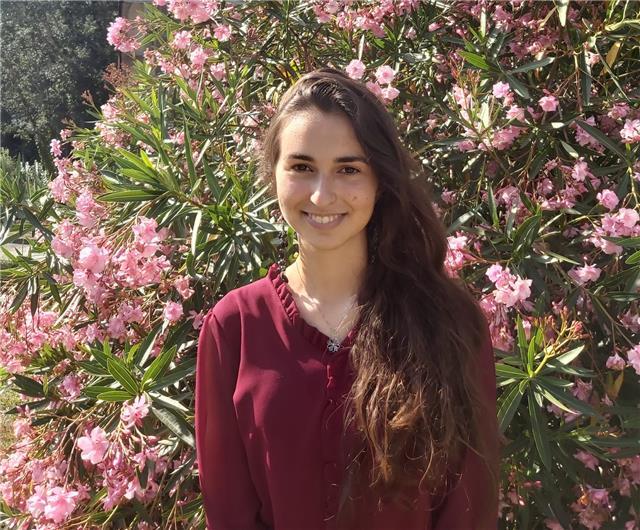 Clases eficientes y económicas de lengua y literatura