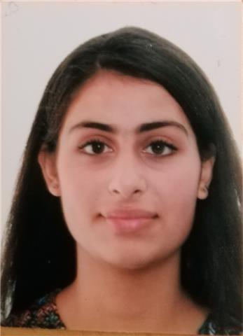 Clases particulares de inglés a estudiantes de primaria y secundaria. he estado estudiando en un colegio británico en málaga. también puedo dar mates