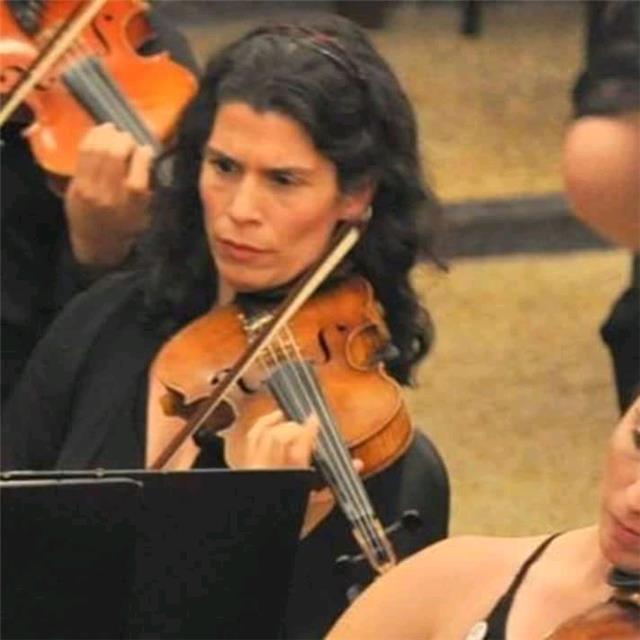 Clases en línea de Violin