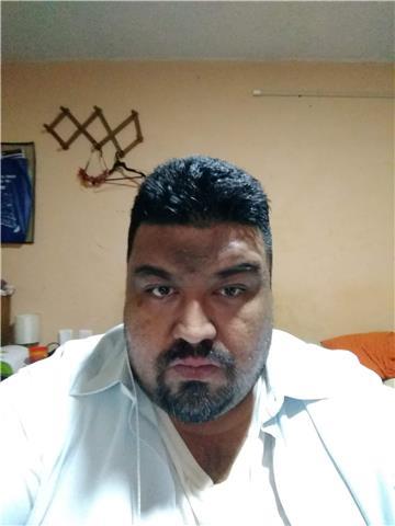 Maestro de matemáticas y ciencias bilingüe con experiencia en todos los niveles académicos desde secundaria a maestría