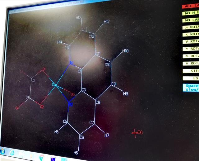 Laureata in Chimica impartisce lezioni private in Chimica generale, Chimica Inorganica e Biochimica